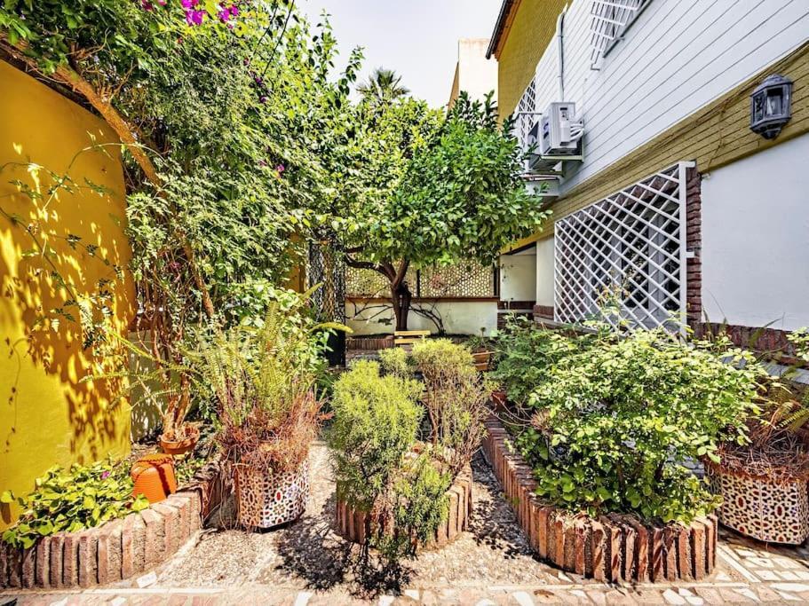 Casa Limonero Con Parking Gratis Junto A Centro Historico Vila Granada Exterior foto