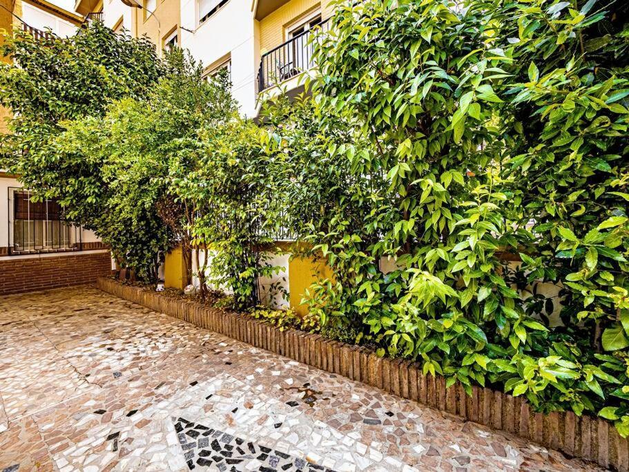 Casa Limonero Con Parking Gratis Junto A Centro Historico Vila Granada Exterior foto