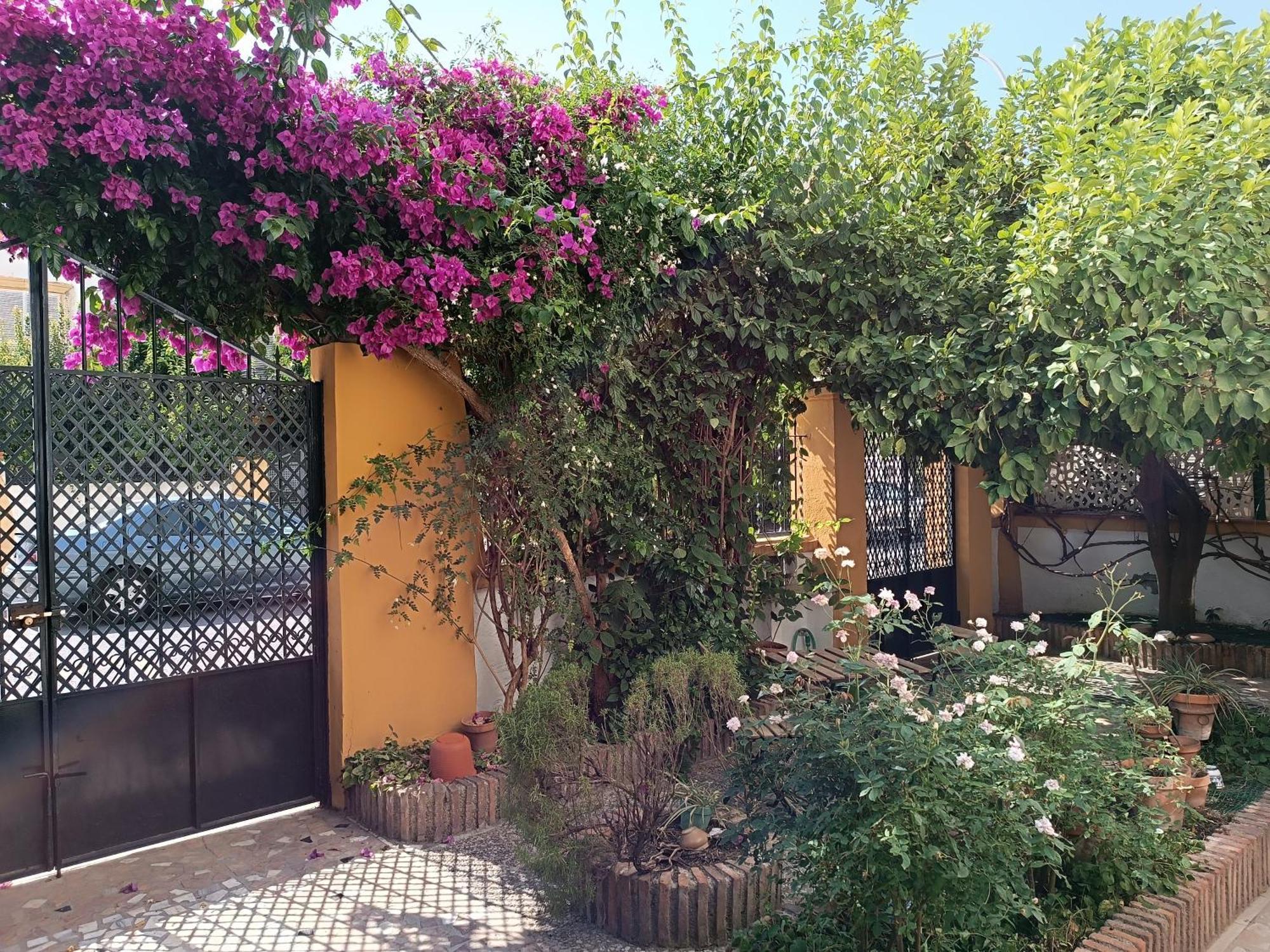 Casa Limonero Con Parking Gratis Junto A Centro Historico Vila Granada Exterior foto